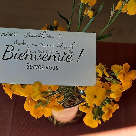 Le Moutardier : Chaleureux T2 Au Coeur De Ville Dijon Dış mekan fotoğraf