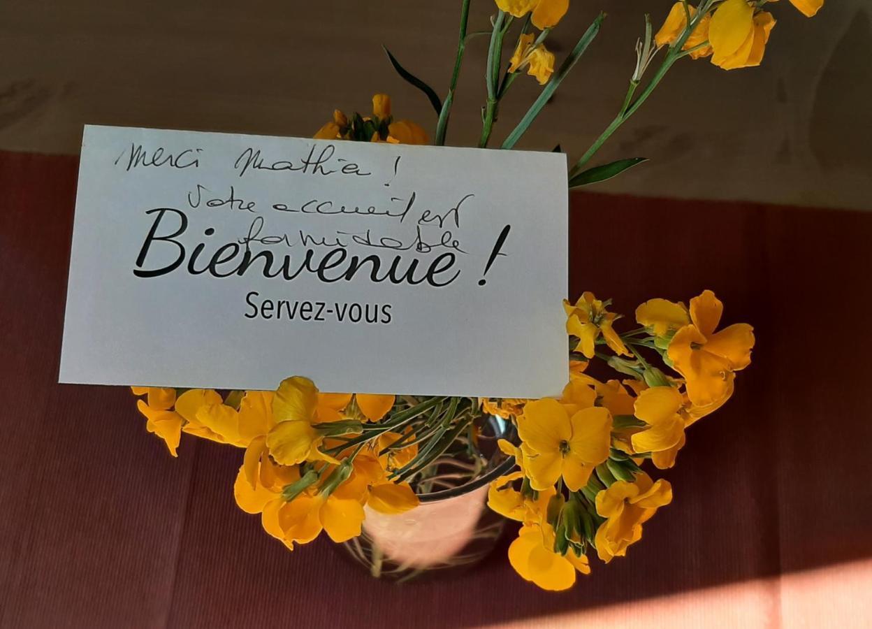 Le Moutardier : Chaleureux T2 Au Coeur De Ville Dijon Dış mekan fotoğraf